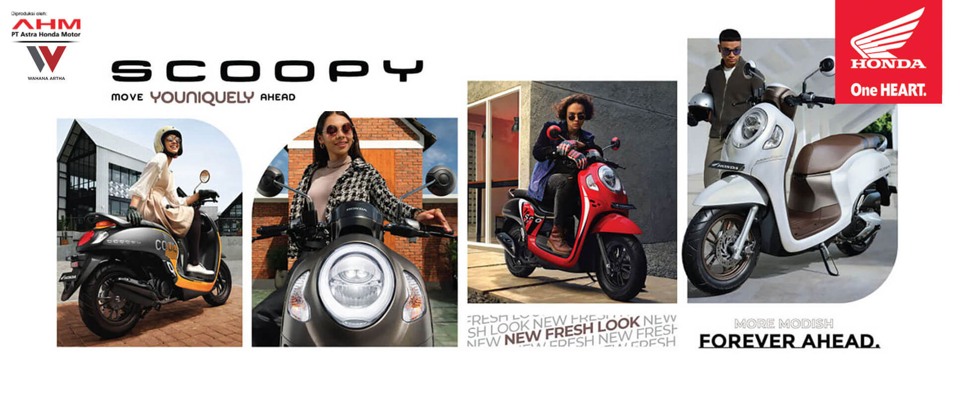 banner-scoopy